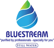bluestream-logo-website-design-company